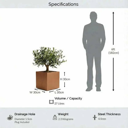 #30cm(L) x 30cm(W) x 30cm(H)
#Copper
#With Liner
#No Liner