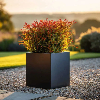 #30cm(L) x 30cm(W) x 30cm(H)
#Black
#With Liner
#No Liner