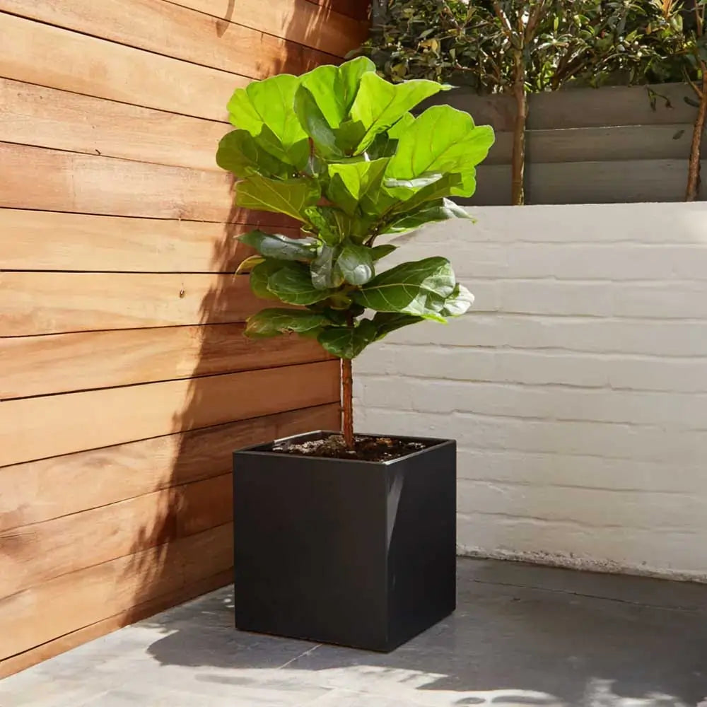 #30cm(L) x 30cm(W) x 30cm(H)
#Black
#With Liner
#No Liner