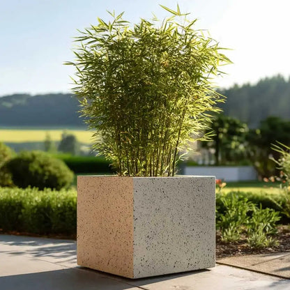 #30cm(L) x 30cm(W) x 30cm(H)
#40cm(L) x 40cm(W) x 40cm(H)
#50cm(L) x 50cm(W) x 50cm(H)
#60cm(L) x 60cm(W) x 60cm(H)
#Sand Stone
#With Liner
#No Liner