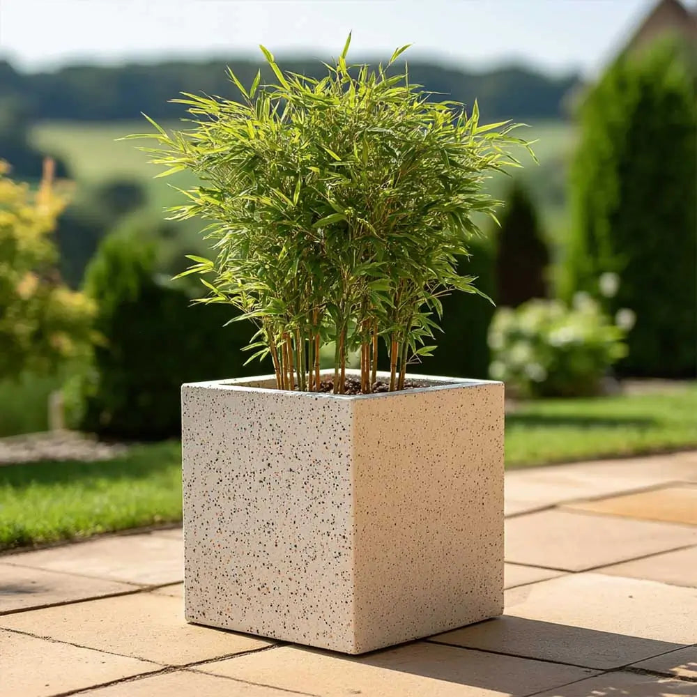 #Sand Stone
#30cm(L) x 30cm(W) x 30cm(H)
#40cm(L) x 40cm(W) x 40cm(H)
#With Liner
#No Liner