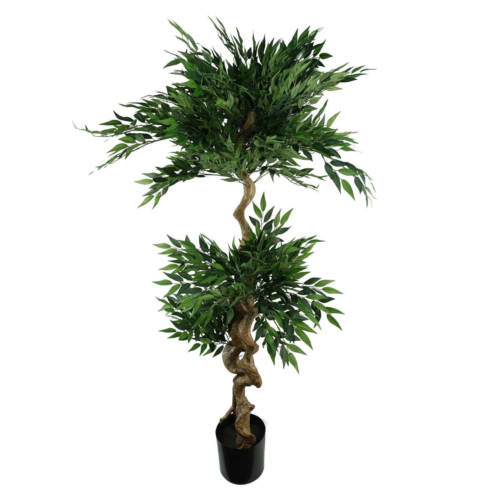 160cm Ruscus Double Twist Trunk Natural Look Japanese Tree