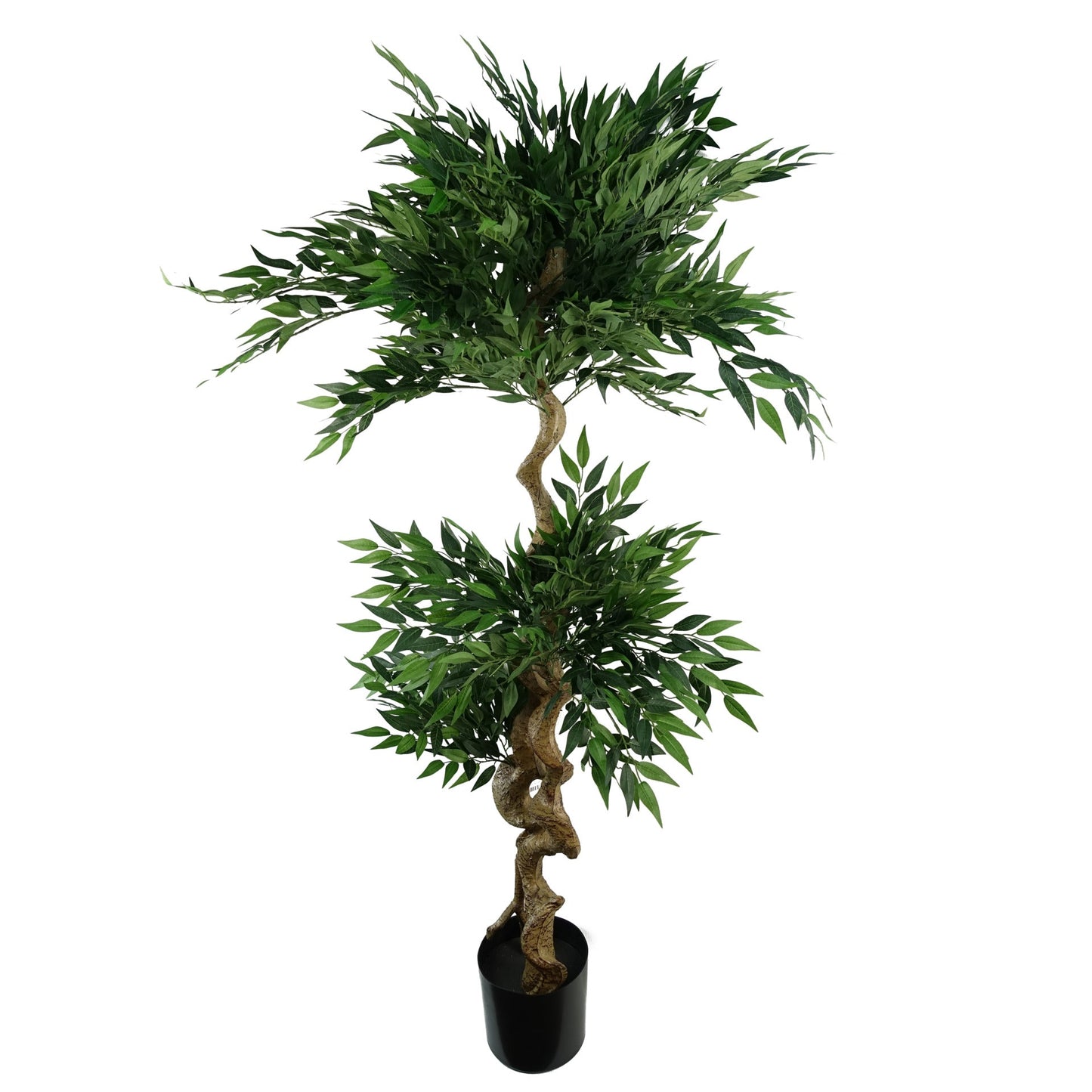160cm Ruscus Double Twist Trunk Natural Look Japanese Tree