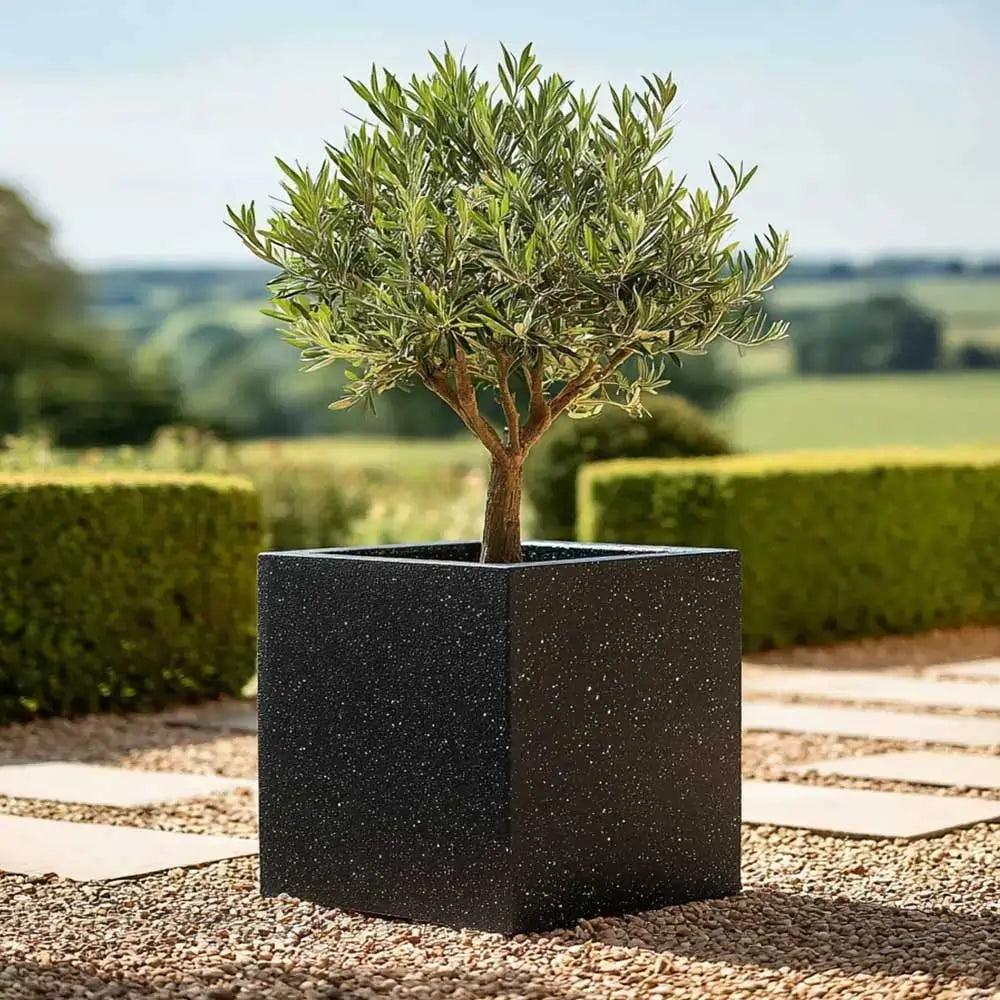 #40cm(L) x 40cm(W) x 40cm(H)
#50cm(L) x 50cm(W) x 50cm(H)
#60cm(L) x 60cm(W) x 60cm(H)
#Black Stone
#With Liner
#No Liner