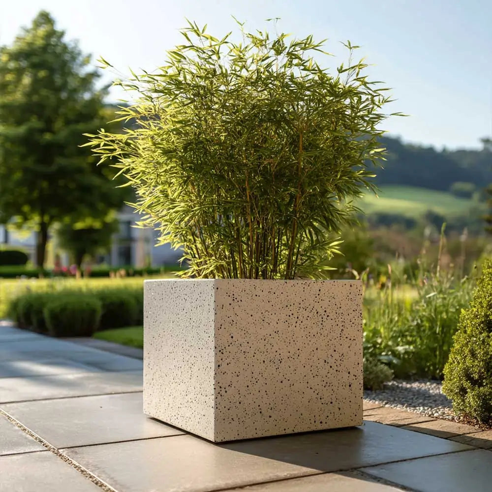 #Sand Stone
#30cm(L) x 30cm(W) x 30cm(H)
#40cm(L) x 40cm(W) x 40cm(H)
#With Liner
#No Liner