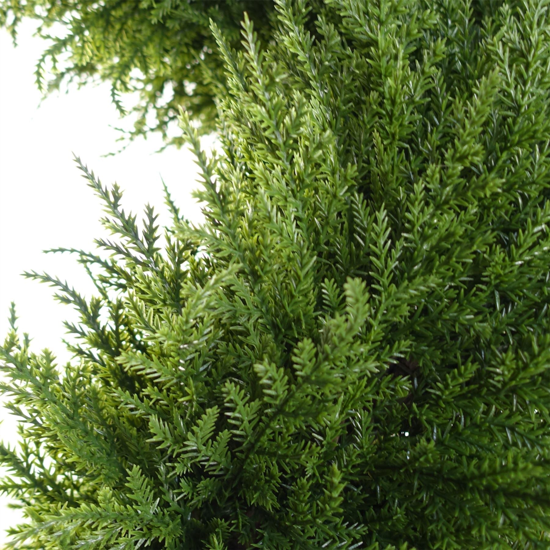120cm Premium Artificial Spiral Cypress with pot