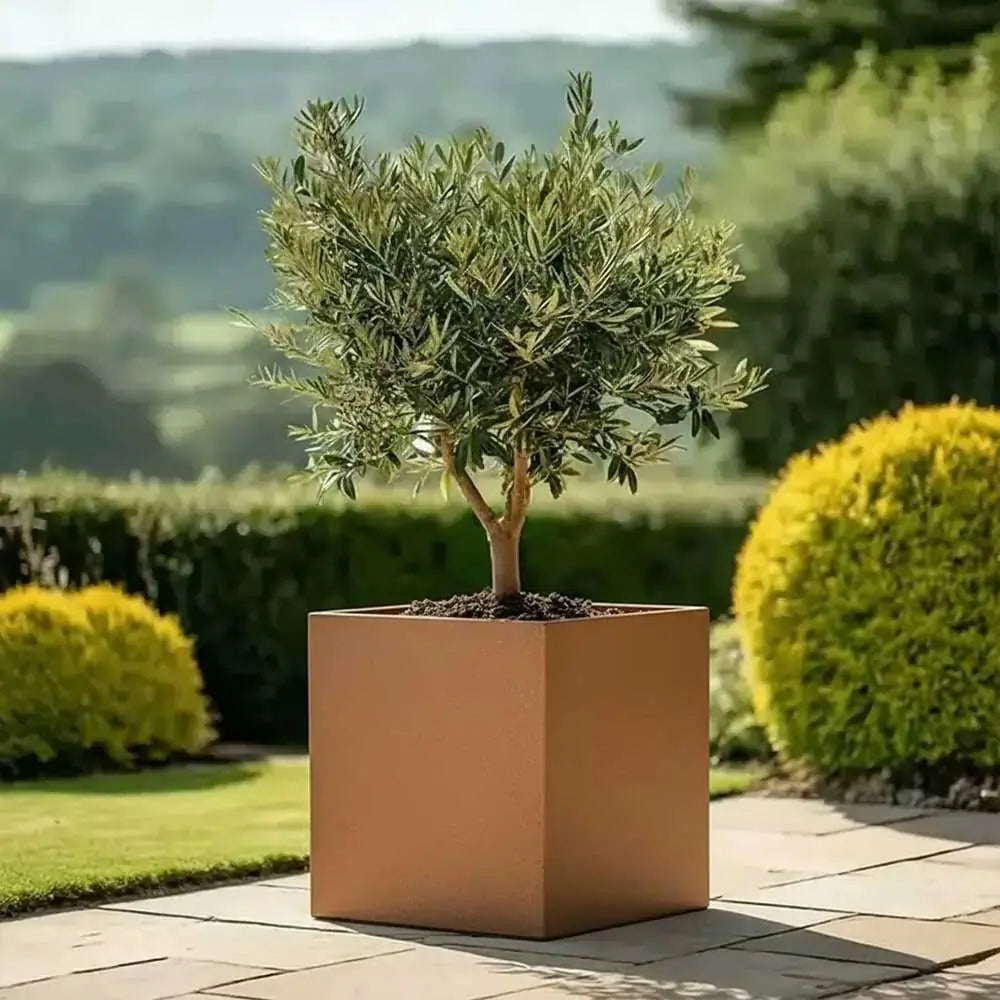 #50cm(L) x 50cm(W) x 50cm(H)
#60cm(L) x 60cm(W) x 60cm(H)
#Copper
#With Liner
#No Liner