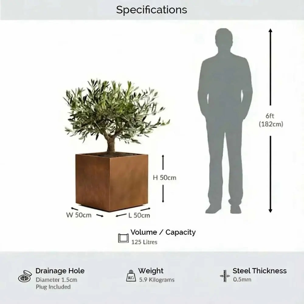 #50cm(L) x 50cm(W) x 50cm(H)
#Copper
#With Liner
#No Liner