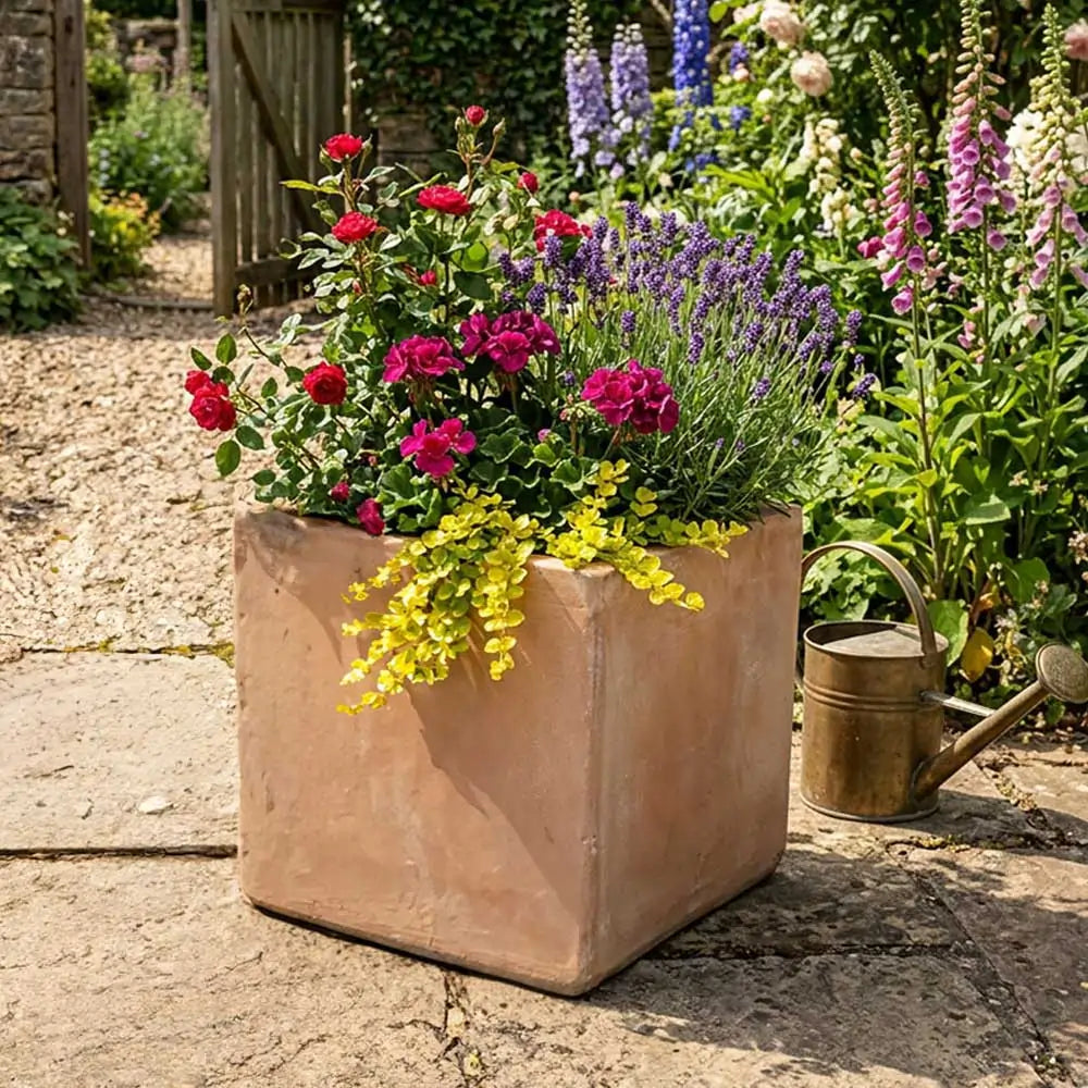 #50cm(L) x 50cm(W) x 50cm(H)