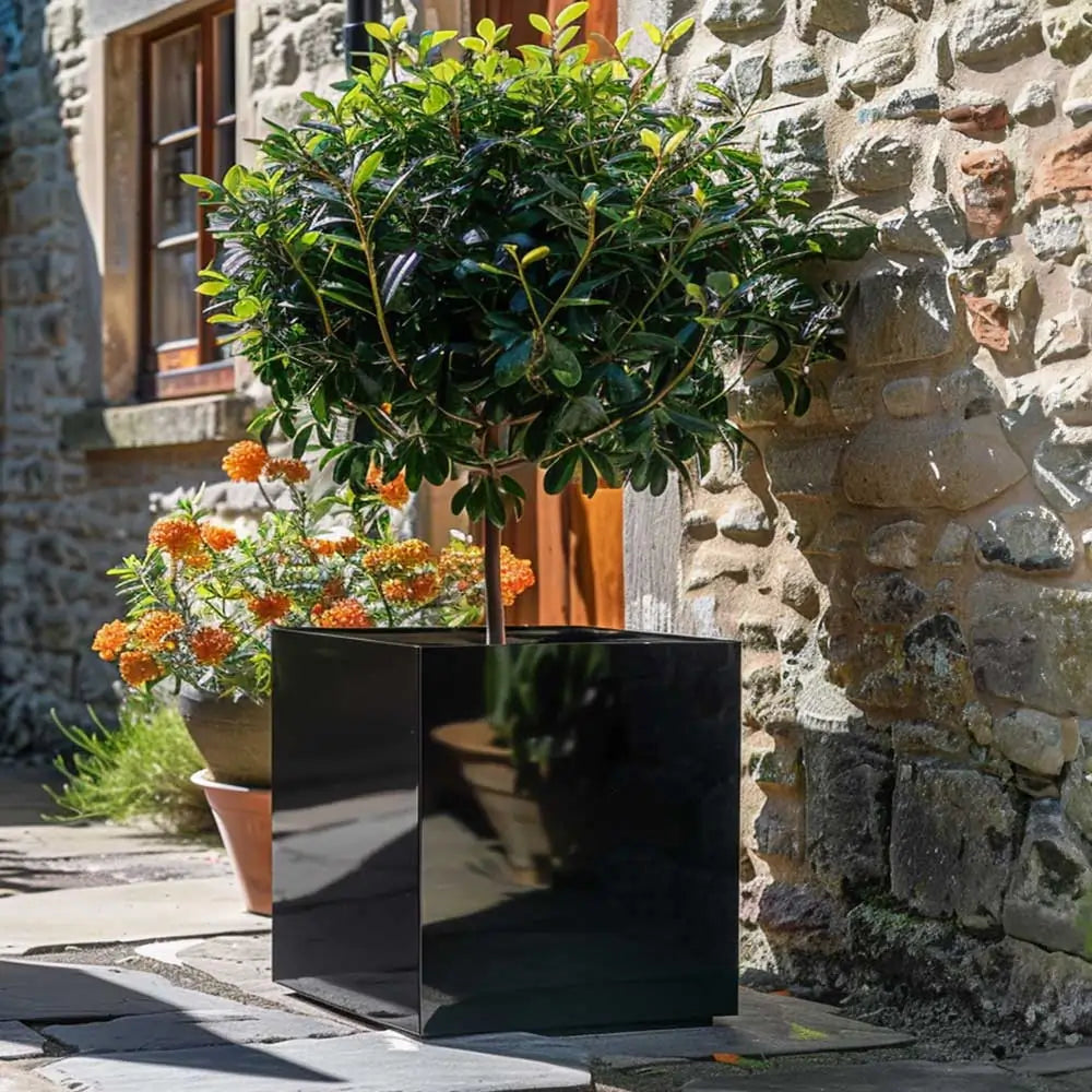 #50cm(L) x 50cm(W) x 50cm(H)
#Glossy Black
#With Liner
#No Liner