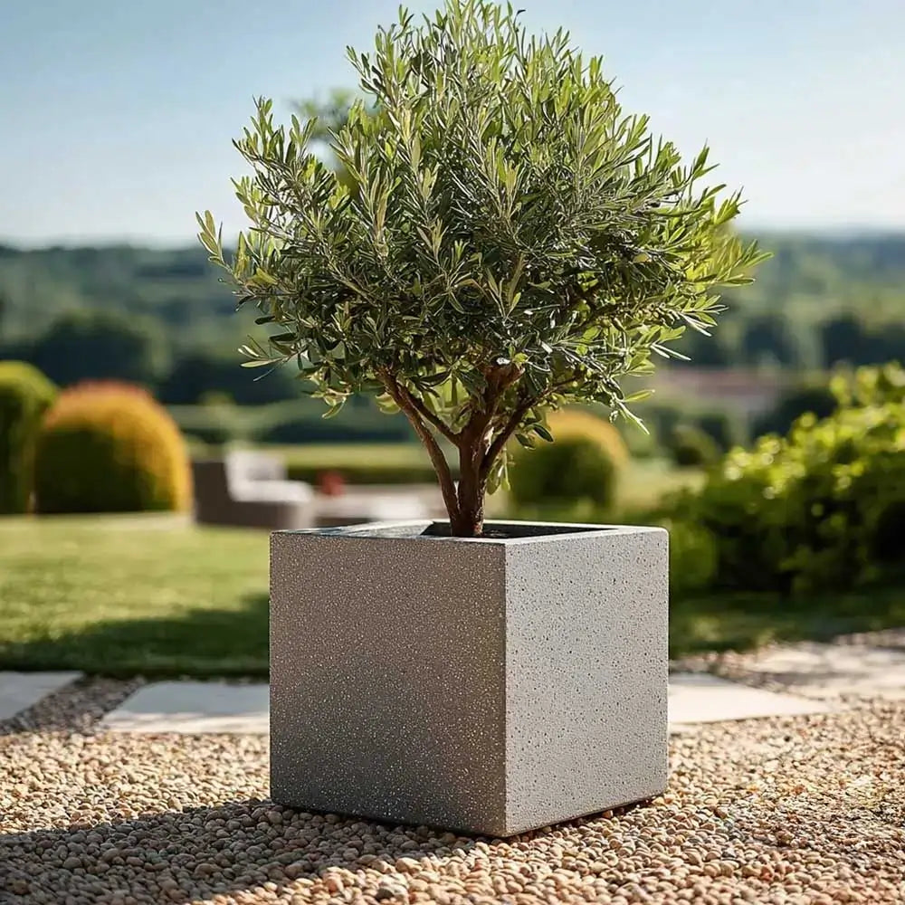 #30cm(L) x 30cm(W) x 30cm(H)
#40cm(L) x 40cm(W) x 40cm(H)
#50cm(L) x 50cm(W) x 50cm(H)
#60cm(L) x 60cm(W) x 60cm(H)
#Grey Stone
#With Liner
#No Liner