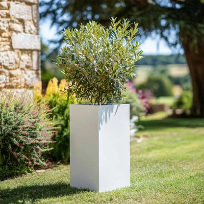 #25cm(L) x 25cm(W) x 50cm(H)
#white