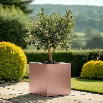 #50cm(L) x 50cm(W) x 50cm(H)
#60cm(L) x 60cm(W) x 60cm(H)
#Rose Gold
#With Liner
#No Liner