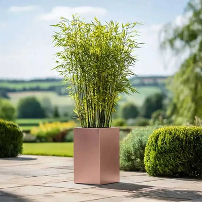 #25cm(L) x 25cm(W) x 50cm(H)
#Rose Gold