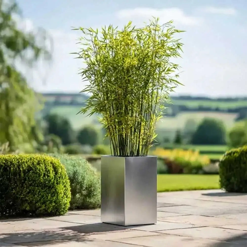 #25cm(L) x 25cm(W) x 50cm(H)
#silver