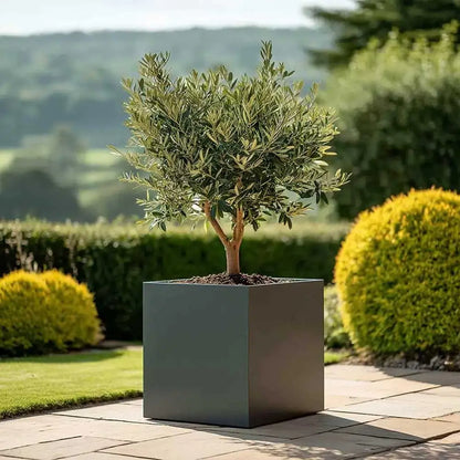 #Grey
#60cm(L) x 60cm(W) x 60cm(H)
#50cm(L) x 50cm(W) x 50cm(H)
#With Liner
#No Liner