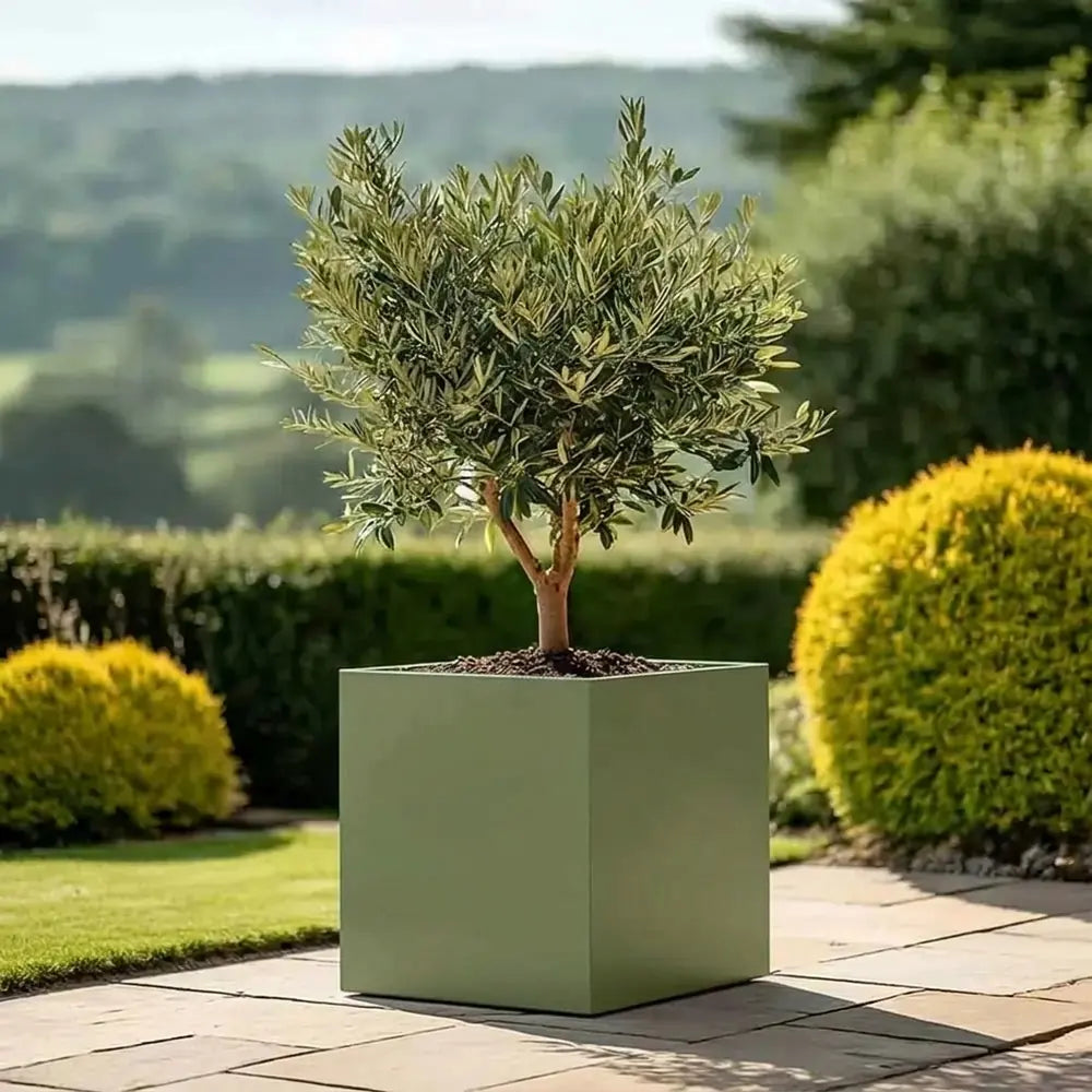 #Green
#50cm(L) x 50cm(W) x 50cm(H)
#60cm(L) x 60cm(W) x 60cm(H)
#With Liner
#No Liner
