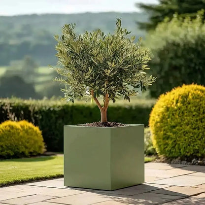 #Green
#50cm(L) x 50cm(W) x 50cm(H)
#60cm(L) x 60cm(W) x 60cm(H)
#With Liner
#No Liner