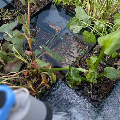 #76cm(D) x 36cm(H)
#51cm(D) x 25cm(H)
#grey stone