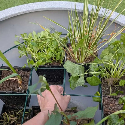 #76cm(D) x 36cm(H)
#51cm(D) x 25cm(H)
#grey stone