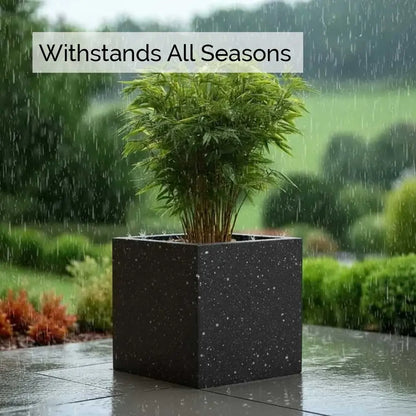 #60cm(L) x 60cm(W) x 60cm(H)
#50cm(L) x 50cm(W) x 50cm(H)
#40cm(L) x 40cm(W) x 40cm(H)
#30cm(L) x 30cm(W) x 30cm(H)
#Black Stone
#With Liner
#No Liner