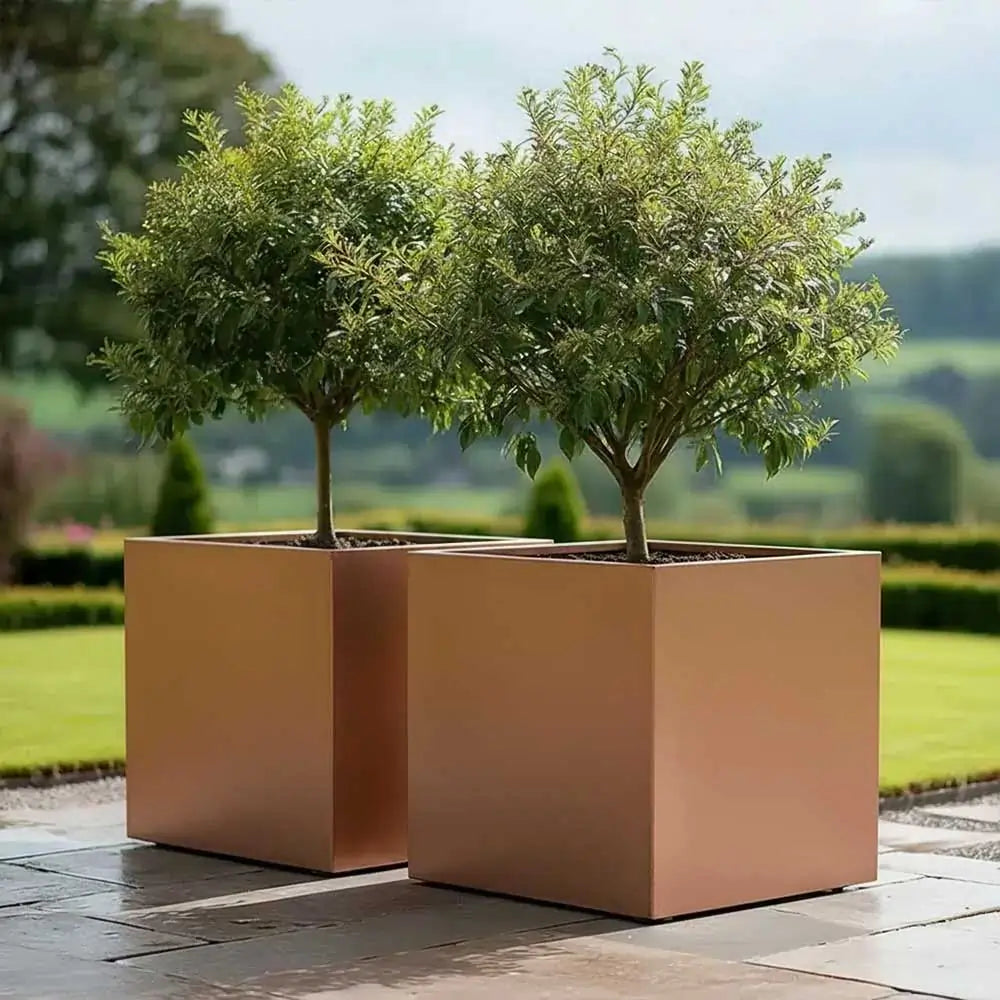 #60cm(L) x 60cm(W) x 60cm(H)
#50cm(L) x 50cm(W) x 50cm(H)
#40cm(L) x 40cm(W) x 40cm(H)
#30cm(L) x 30cm(W) x 30cm(H)
#Copper
#With Liner
#No Liner