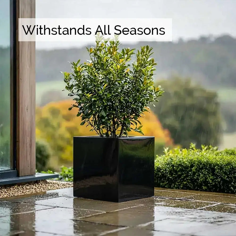 #30cm(L) x 30cm(W) x 30cm(H)
#40cm(L) x 40cm(W) x 40cm(H)
#50cm(L) x 50cm(W) x 50cm(H)
#60cm(L) x 60cm(W) x 60cm(H)
#Glossy Black
#With Liner
#No Liner