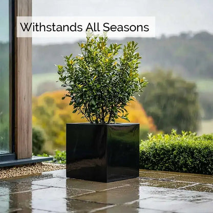 #30cm(L) x 30cm(W) x 30cm(H)
#40cm(L) x 40cm(W) x 40cm(H)
#50cm(L) x 50cm(W) x 50cm(H)
#60cm(L) x 60cm(W) x 60cm(H)
#Glossy Black
#With Liner
#No Liner