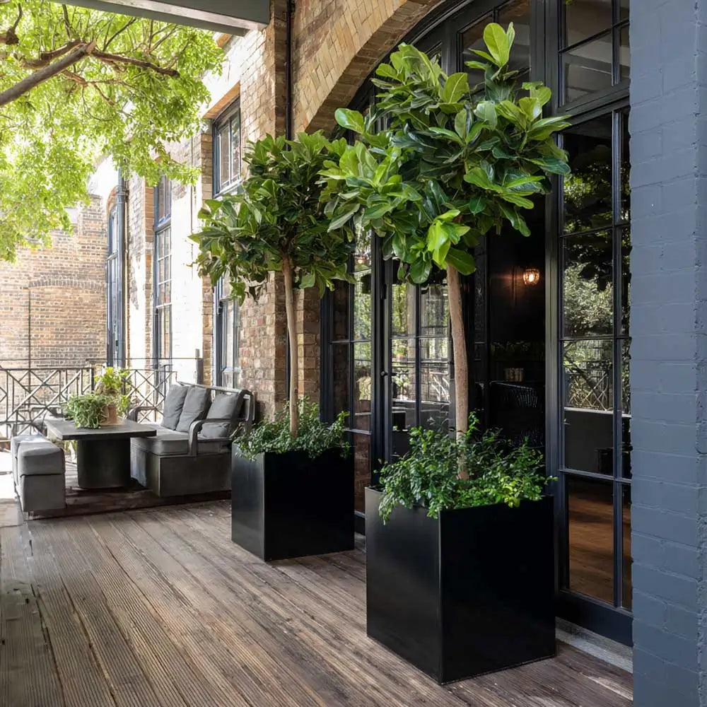 #30cm(L) x 30cm(W) x 30cm(H)
#40cm(L) x 40cm(W) x 40cm(H)
#50cm(L) x 50cm(W) x 50cm(H)
#60cm(L) x 60cm(W) x 60cm(H)
#Glossy Black
#With Liner
#No Liner