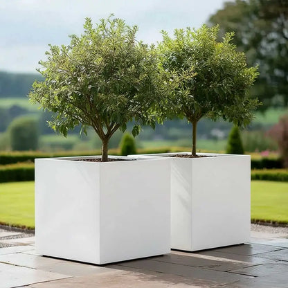 #60cm(L) x 60cm(W) x 60cm(H)
#50cm(L) x 50cm(W) x 50cm(H)
#40cm(L) x 40cm(W) x 40cm(H)
#30cm(L) x 30cm(W) x 30cm(H)
#White
#With Liner
#No Liner