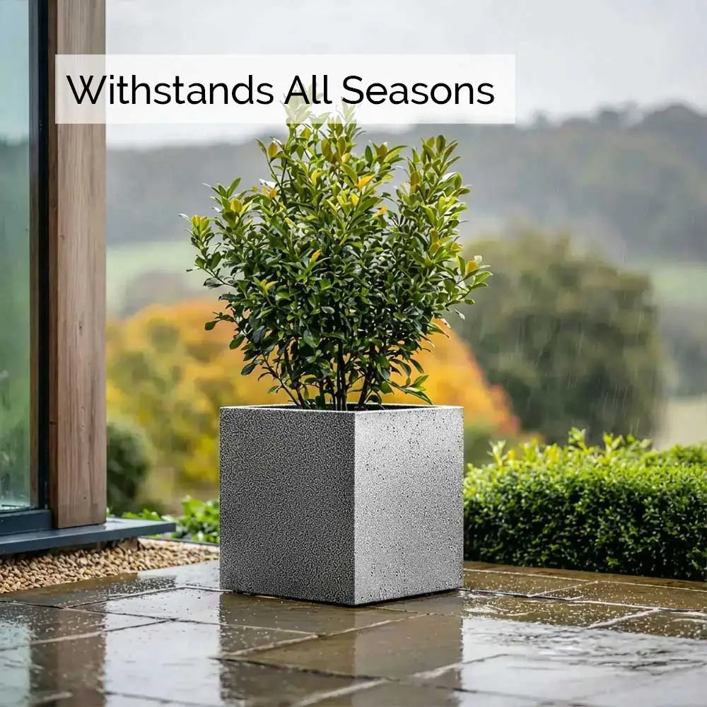 #60cm(L) x 60cm(W) x 60cm(H)
#50cm(L) x 50cm(W) x 50cm(H)
#40cm(L) x 40cm(W) x 40cm(H)
#30cm(L) x 30cm(W) x 30cm(H)
#Silver Black
#With Liner
#No Liner