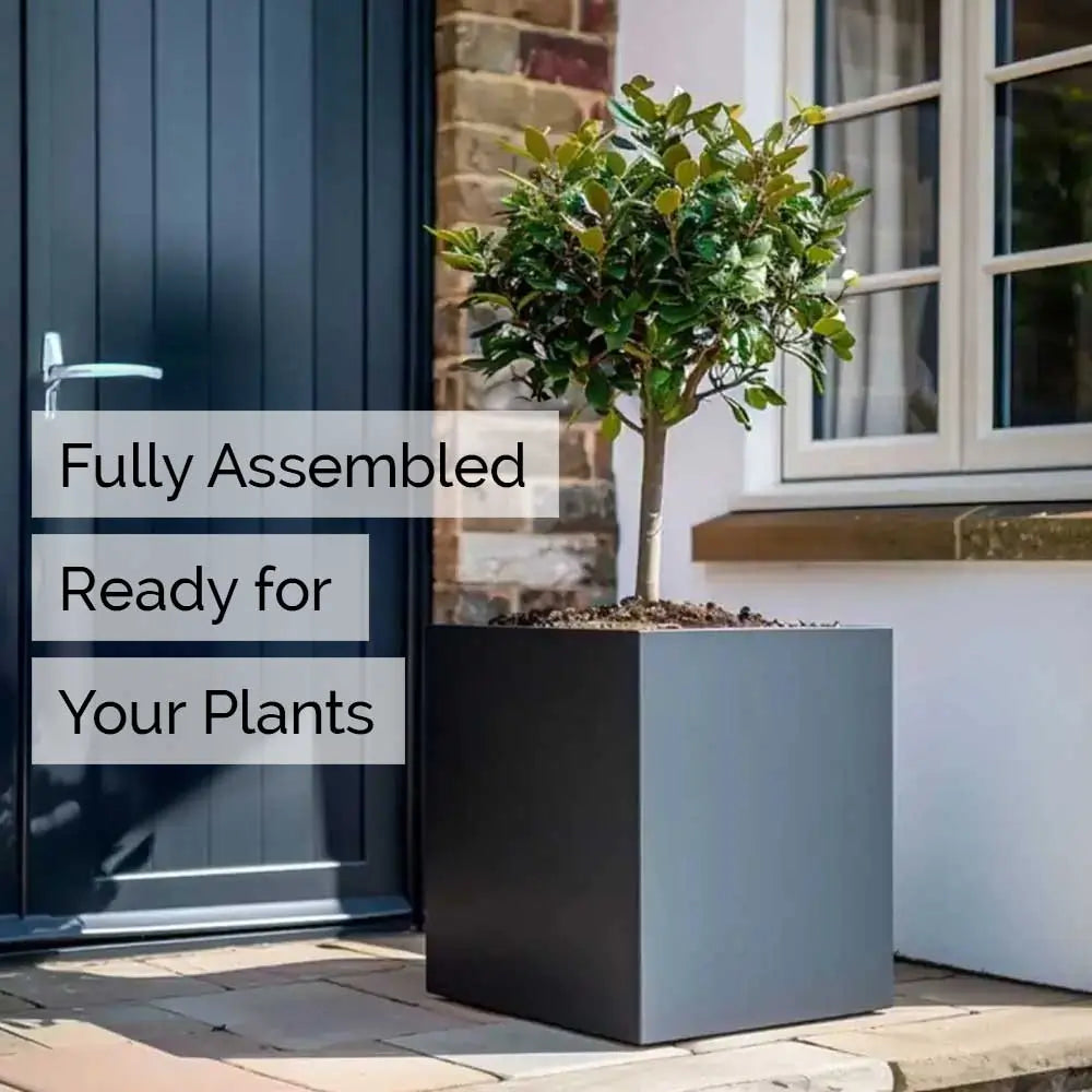 #30cm(L) x 30cm(W) x 30cm(H)
#40cm(L) x 40cm(W) x 40cm(H)
#50cm(L) x 50cm(W) x 50cm(H)
#60cm(L) x 60cm(W) x 60cm(H)
#Grey
#With Liner
#No Liner