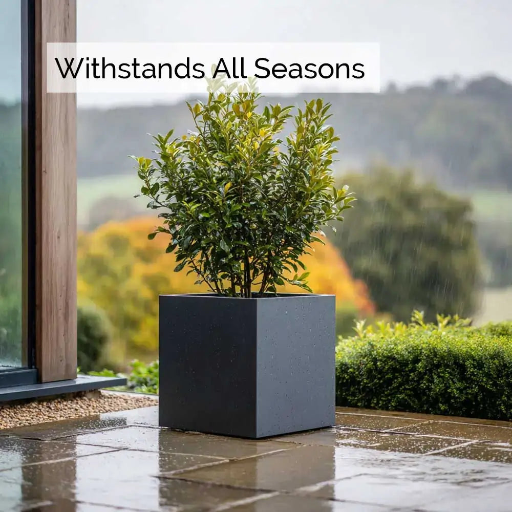 #60cm(L) x 60cm(W) x 60cm(H)
#50cm(L) x 50cm(W) x 50cm(H)
#40cm(L) x 40cm(W) x 40cm(H)
#30cm(L) x 30cm(W) x 30cm(H)
#Grey
#With Liner
#No Liner