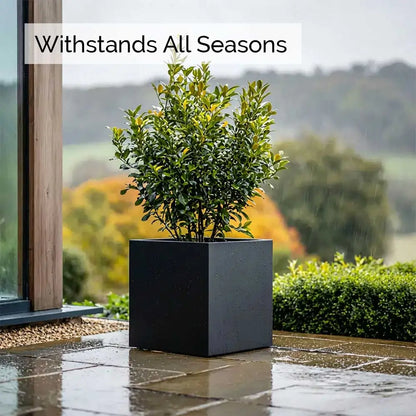 #60cm x 60cm x 60cm
#50cm x 50cm x 50cm
#40cm x 40cm x 40cm
#30cm x 30cm x 30cm
#Black
#With Liner
#No Liner