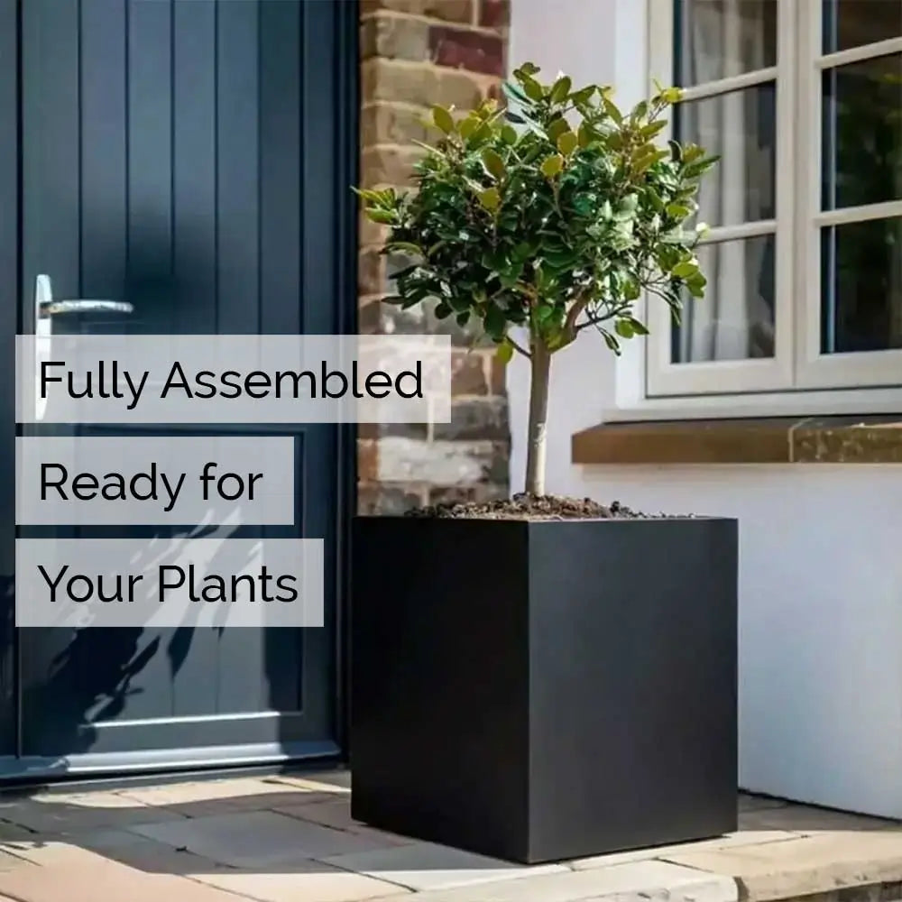 #30cm(L) x 30cm(W) x 30cm(H)
#40cm(L) x 40cm(W) x 40cm(H)
#50cm(L) x 50cm(W) x 50cm(H)
#60cm(L) x 60cm(W) x 60cm(H)
#Black
#With Liner
#No Liner