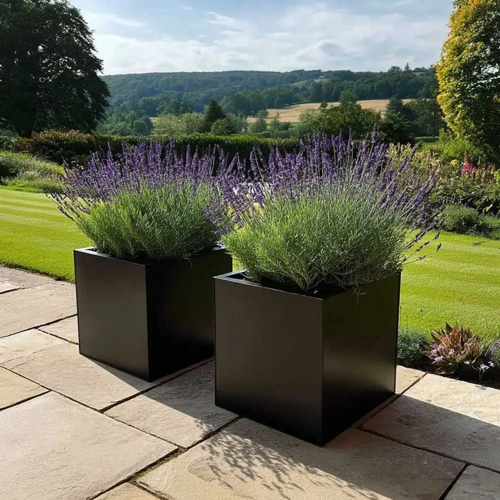 #60cm(L) x 60cm(W) x 60cm(H)
#50cm(L) x 50cm(W) x 50cm(H)
#40cm(L) x 40cm(W) x 40cm(H)
#30cm(L) x 30cm(W) x 30cm(H)
#Black
#With Liner
#No Liner