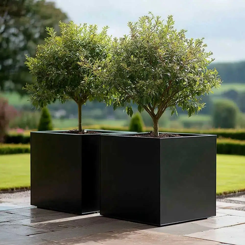 #30cm(L) x 30cm(W) x 30cm(H)
#40cm(L) x 40cm(W) x 40cm(H)
#50cm(L) x 50cm(W) x 50cm(H)
#60cm(L) x 60cm(W) x 60cm(H)
#Black
#With Liner
#No Liner