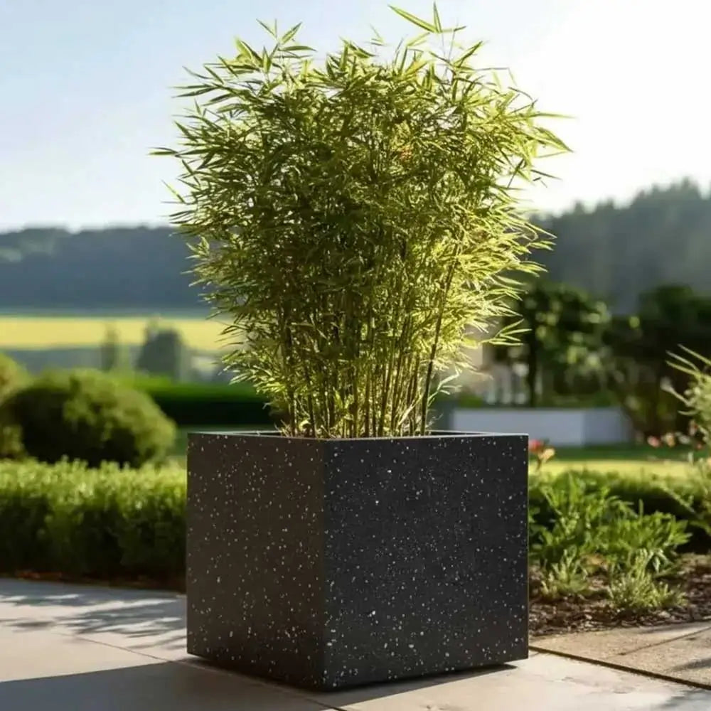 #50cm(L) x 50cm(W) x 50cm(H)
#60cm(L) x 60cm(W) x 60cm(H)
#Black Stone
#With Liner
#No Liner