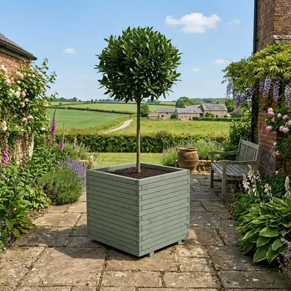 #Green
#60cm(L) x 60cm(W) x 60cm(H)
#With Liner
#No Liner
