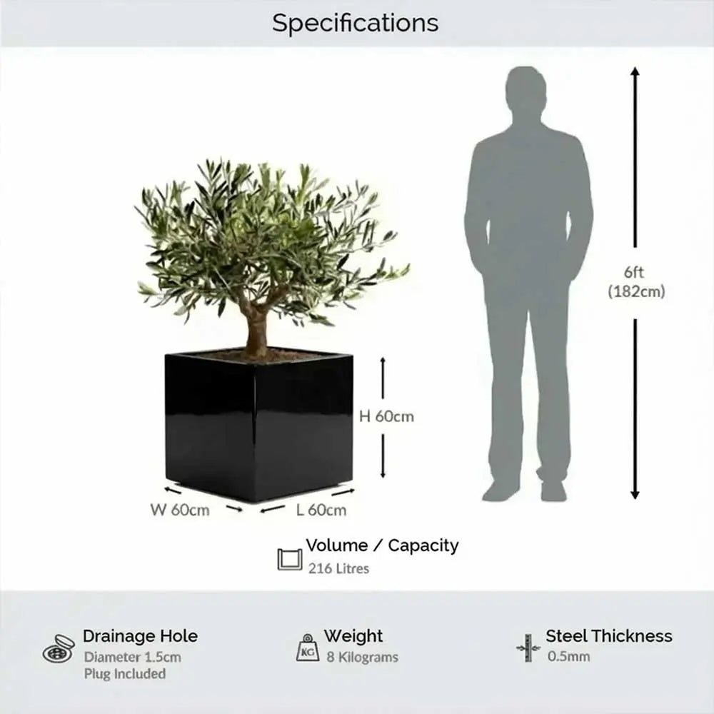 #60cm(L) x 60cm(W) x 60cm(H)
#Glossy Black
#With Liner
#No Liner