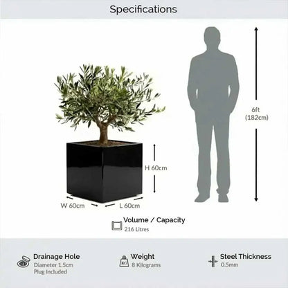 #60cm(L) x 60cm(W) x 60cm(H)
#Glossy Black
#With Liner
#No Liner