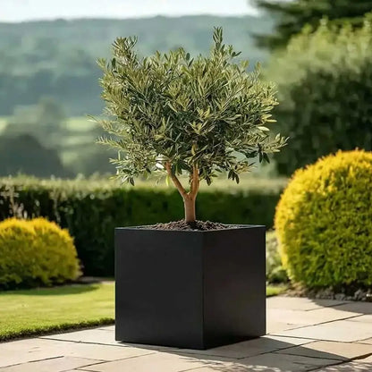 #50cm(L) x 50cm(W) x 50cm(H)
#60cm(L) x 60cm(W) x 60cm(H)
#Black
#With Liner
#No Liner