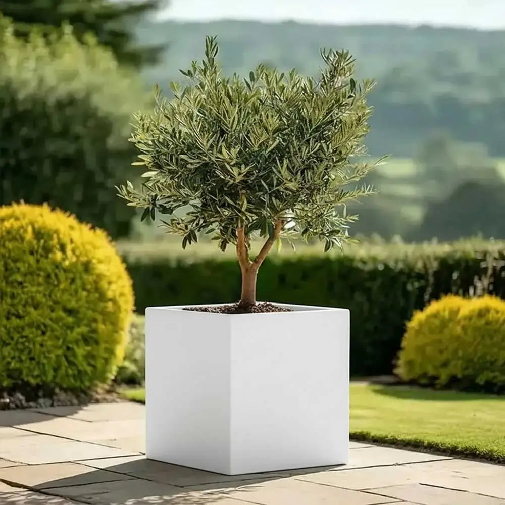 #60cm(L) x 60cm(W) x 60cm(H)
#White
#With Liner
#No Liner