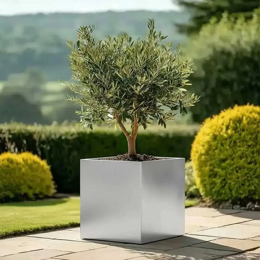 #50cm(L) x 50cm(W) x 50cm(H)
#60cm(L) x 60cm(W) x 60cm(H)
#Silver
#With Liner
#No Liner