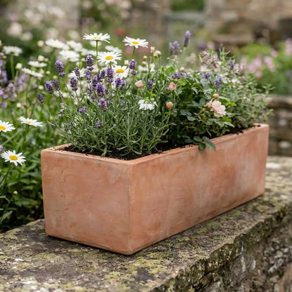 #68cm(L) x 22cm(W) x 24cm(H)