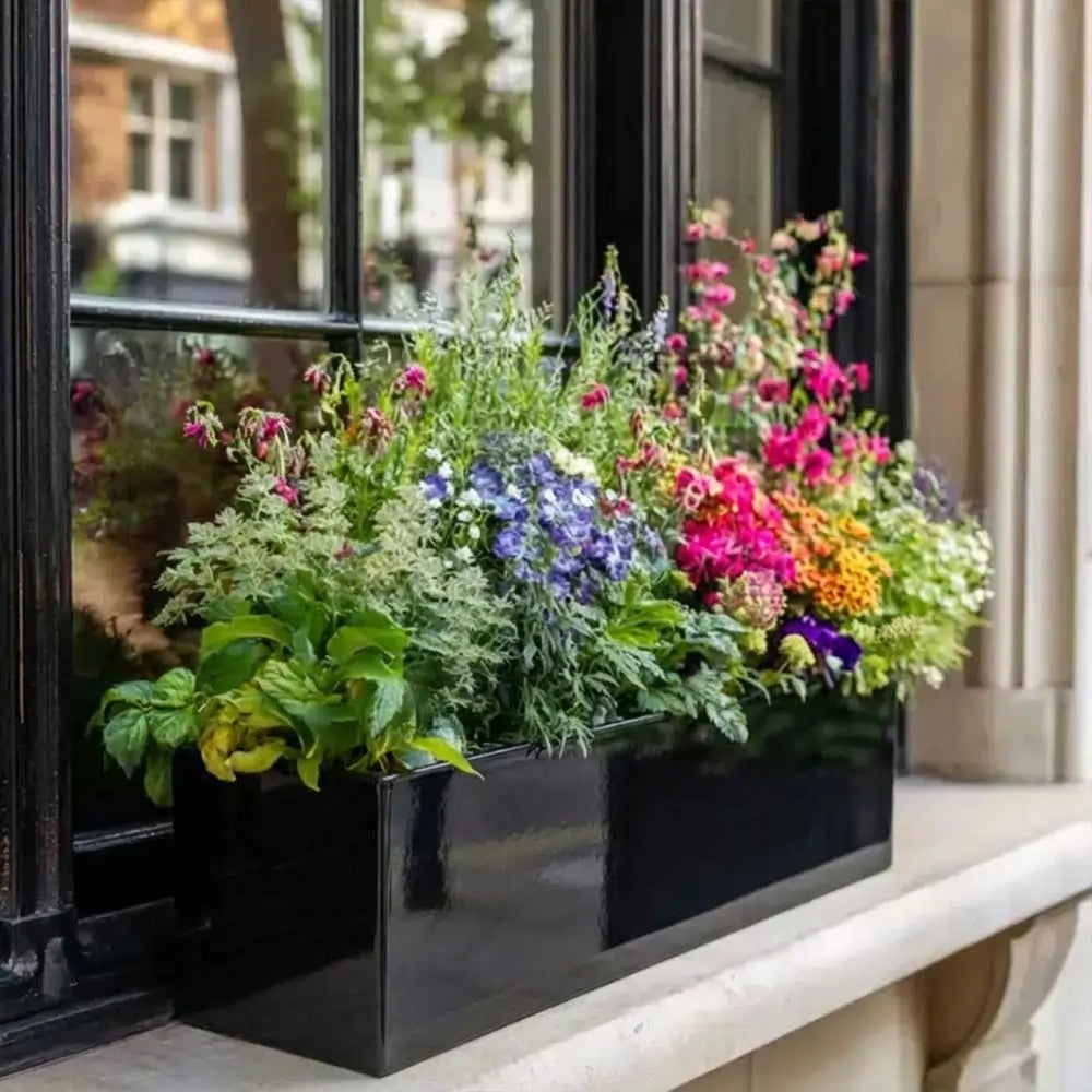 #Glossy Black
#70cm(L) x 24cm(W) x 24cm(H)
#75cm(L) x 32cm(W) x 32cm(H)
#With Liner
#No Liner