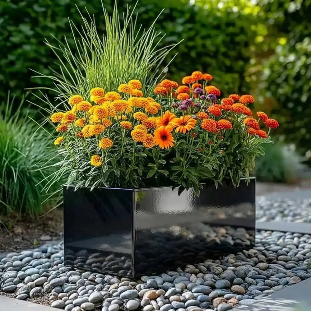 #Glossy Black
#70cm(L) x 24cm(W) x 24cm(H)
#75cm(L) x 32cm(W) x 32cm(H)
#With Liner
#No Liner