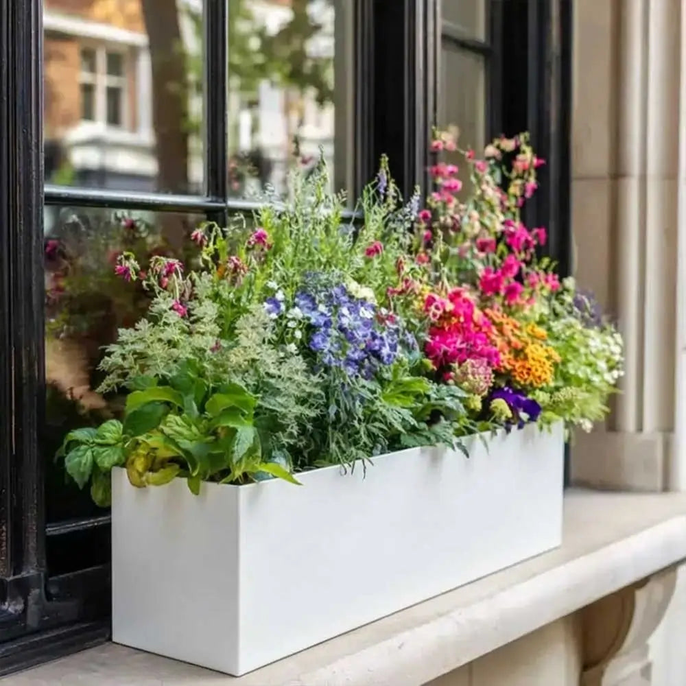 #White
#70cm(L) x 24cm(W) x 24cm(H)
#75cm(L) x 32cm(W) x 32cm(H)
#With Liner
#No Liner