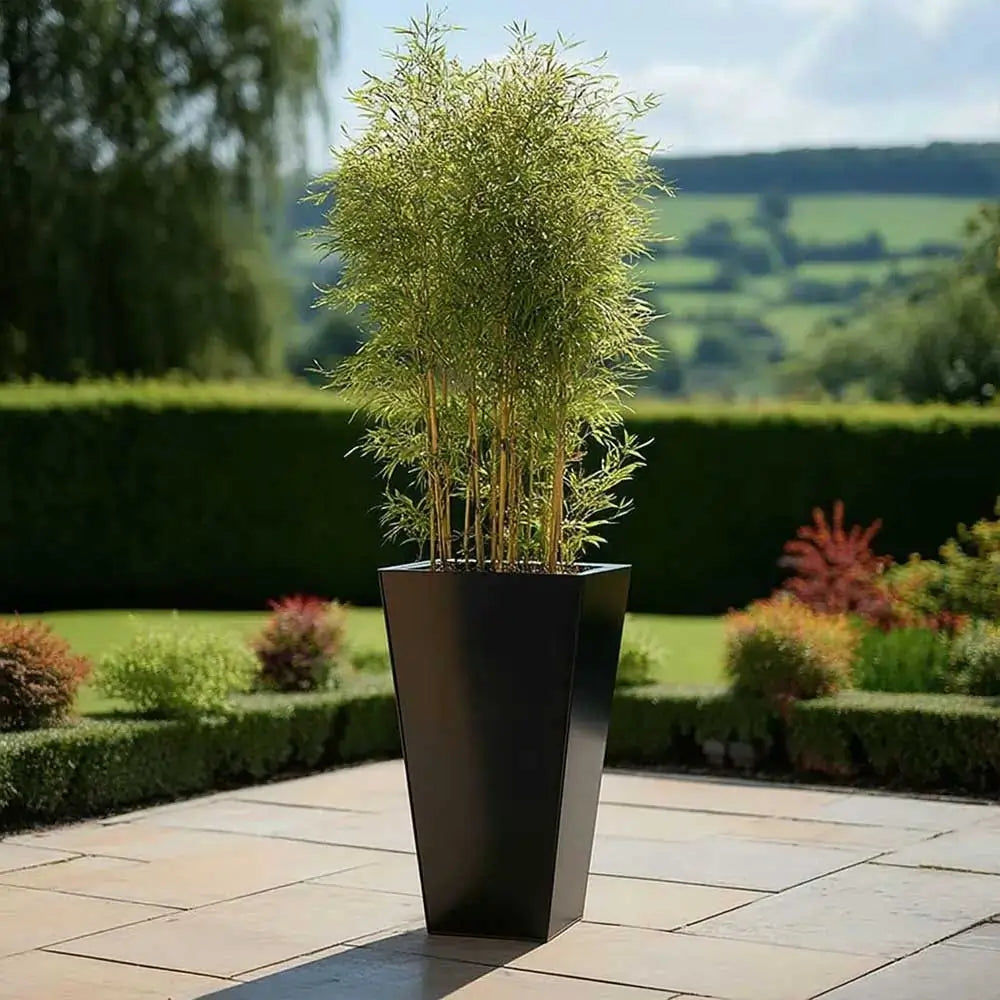 #30cm(L) x 30cm(W) x 70cm(H)
#black