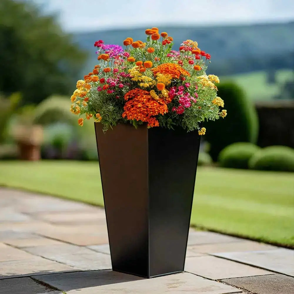 #30cm(L) x 30cm(W) x 70cm(H)
#black